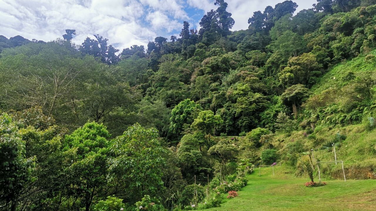 Photo of Outdoor in San Isidro