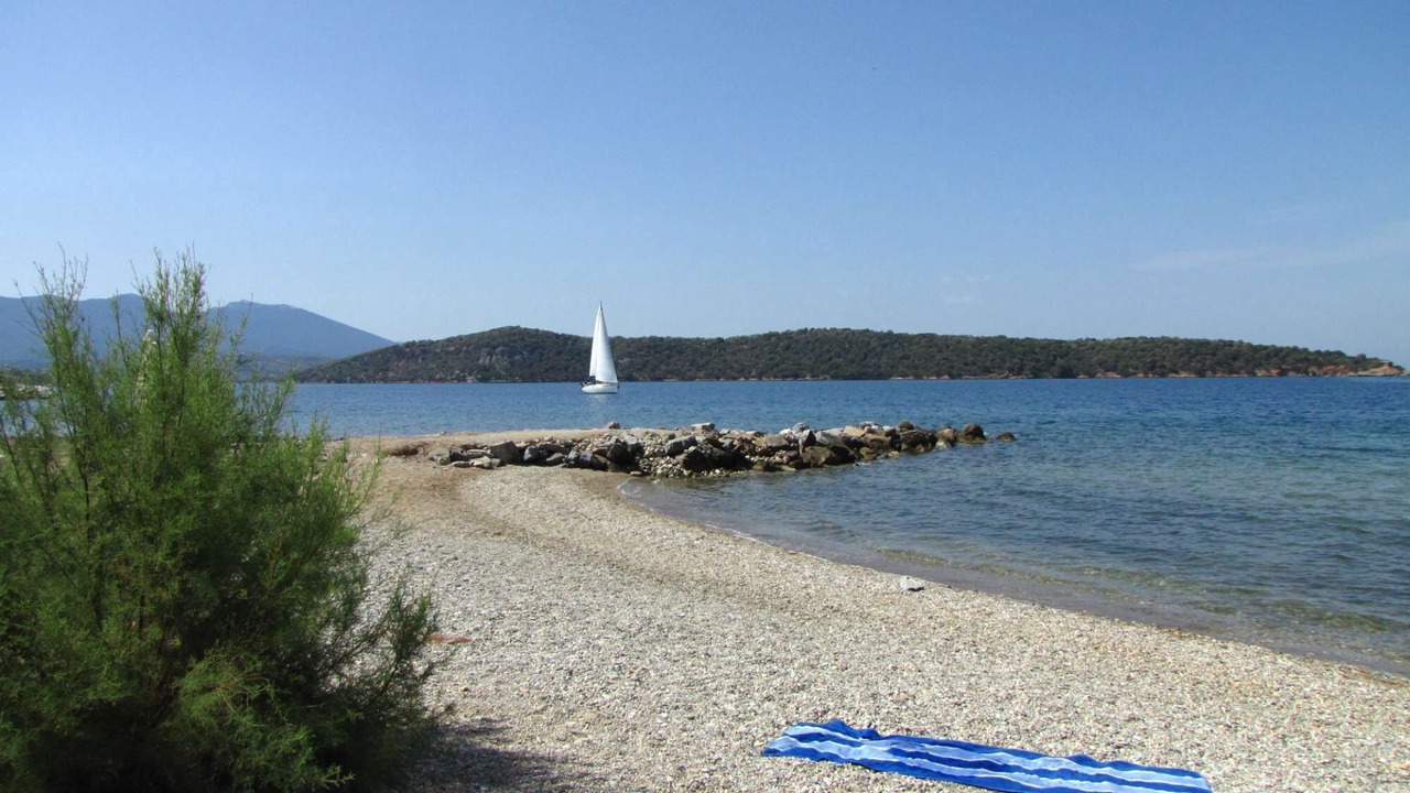 Photo of Others in Milina