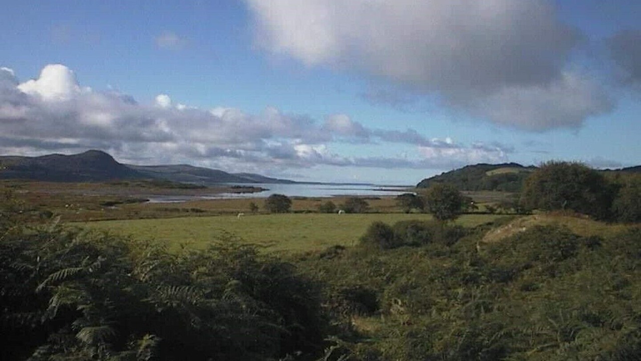 Photo of Others in Tarbert