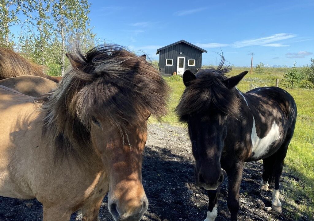Photo of Outdoor in Rangarþing ytra