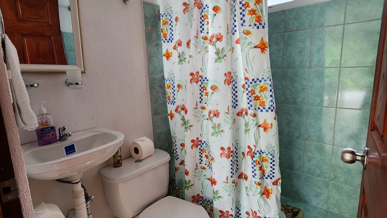 Photo of Bathroom in Bajos del Toro