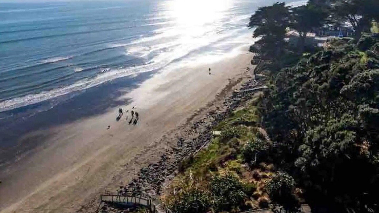 Photo of Others in Raumati Beach