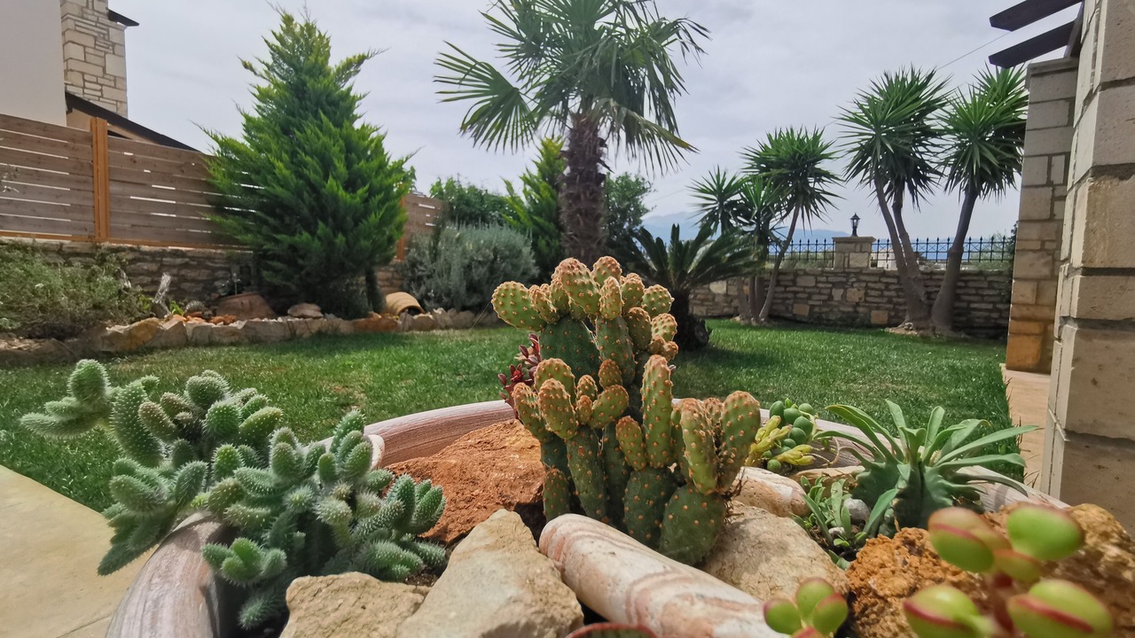 Photo of Outdoor in Roumeli
