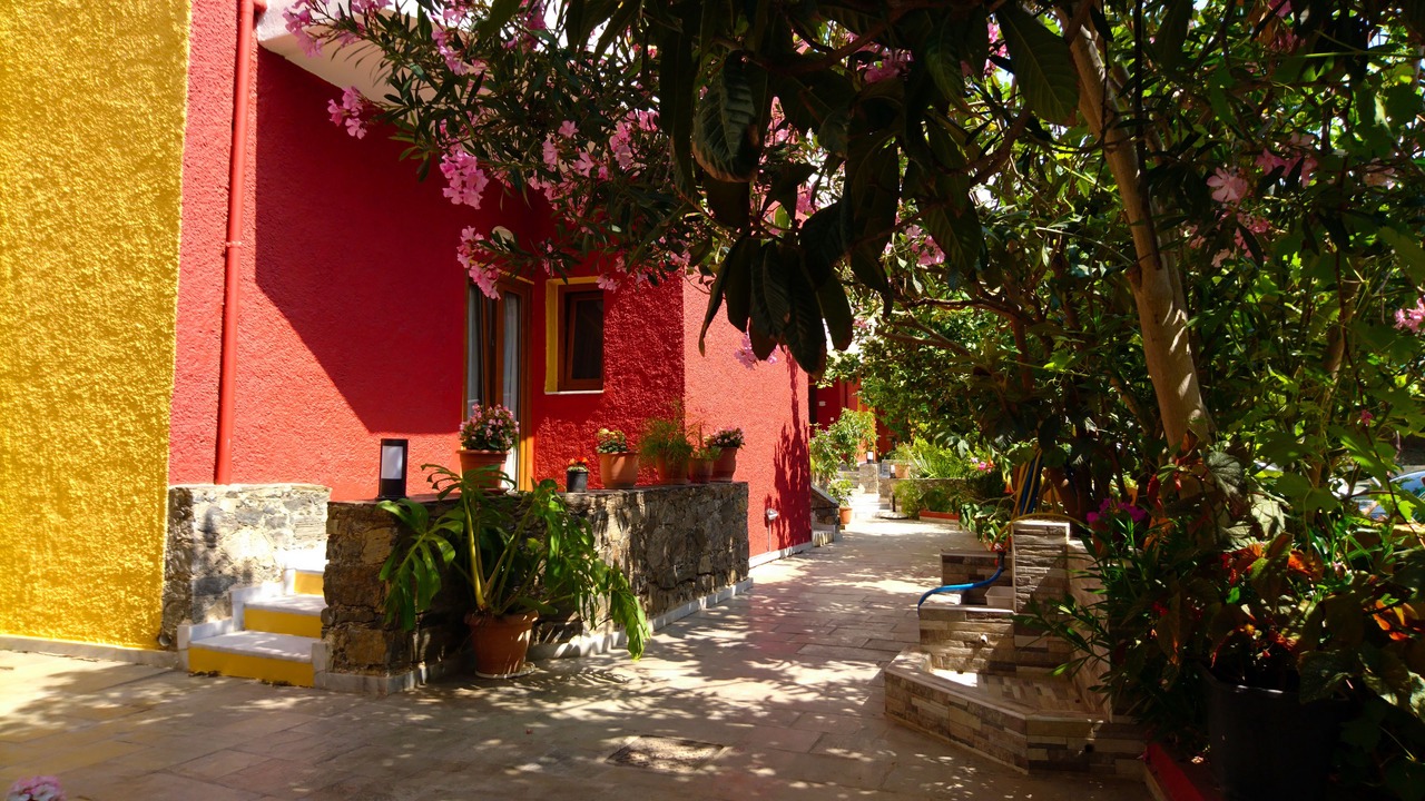 Photo of Outdoor in Platanes