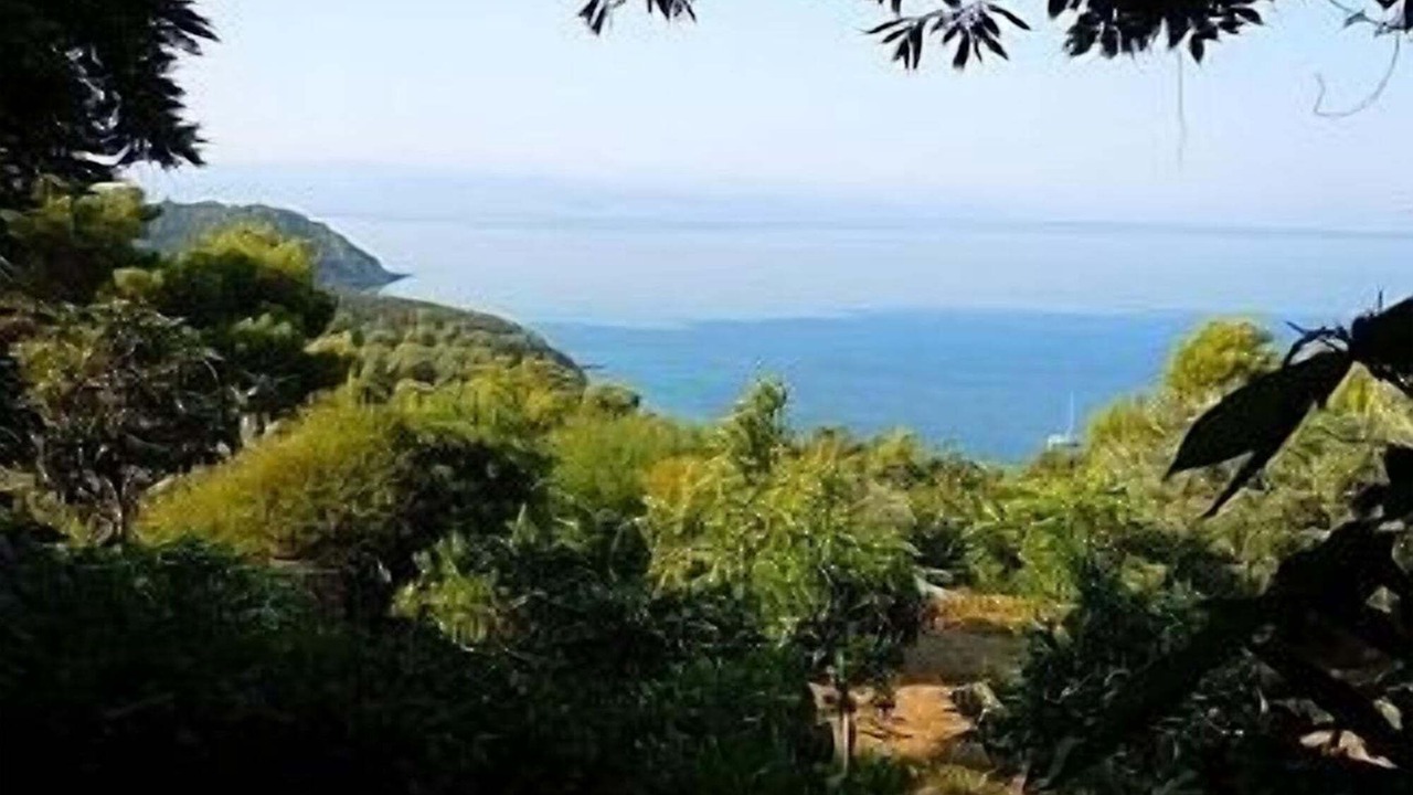 Photo of Others in Koukounaries