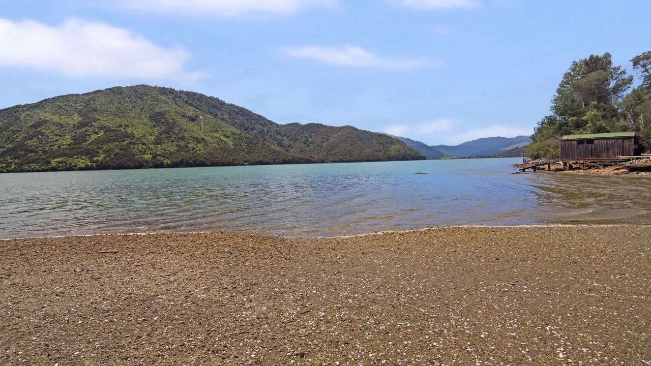 Photo of Others in Havelock