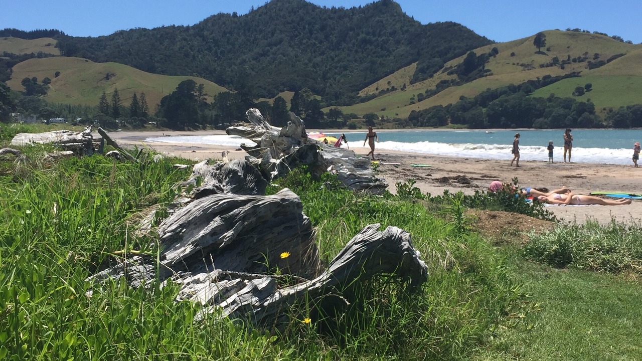 Photo of Others in Wharekaho