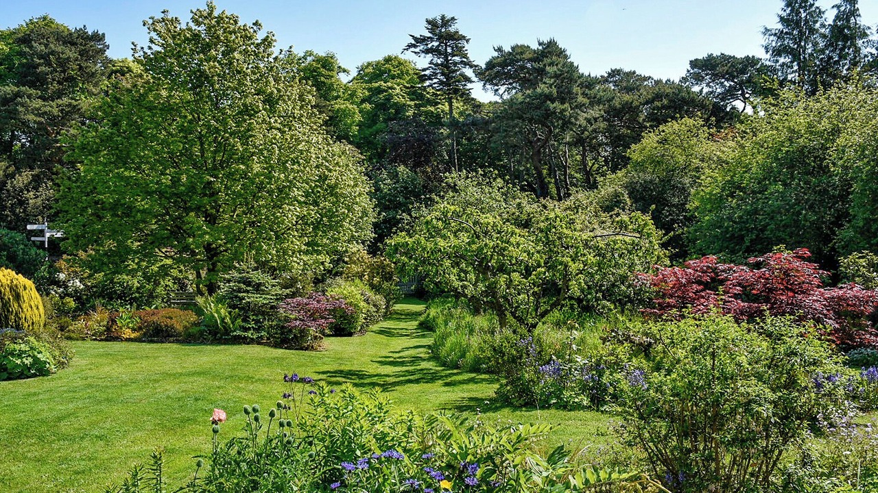 Photo of Outdoor in Dunbar
