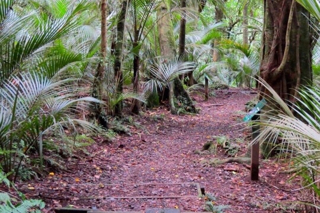 Photo of Others in New Plymouth