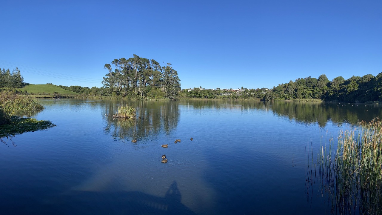 Photo of Others in New Plymouth