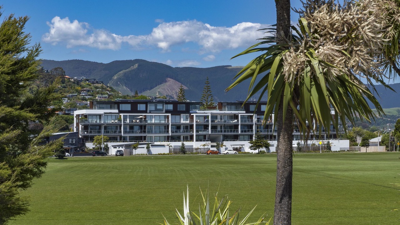 Photo of Others in Tahunanui