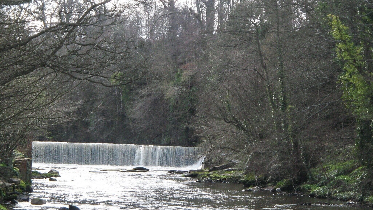 Photo of Others in Cramond
