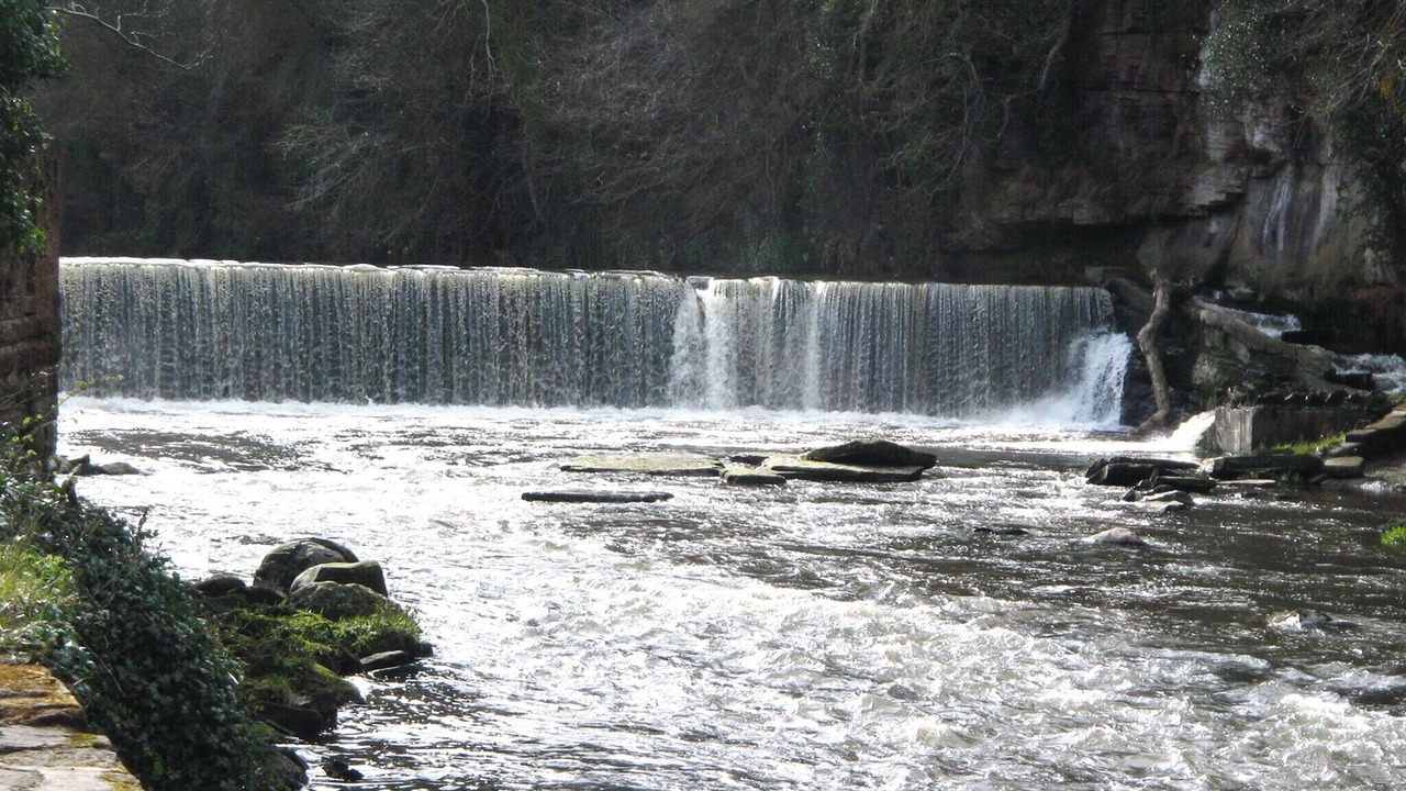 Photo of Others in Cramond