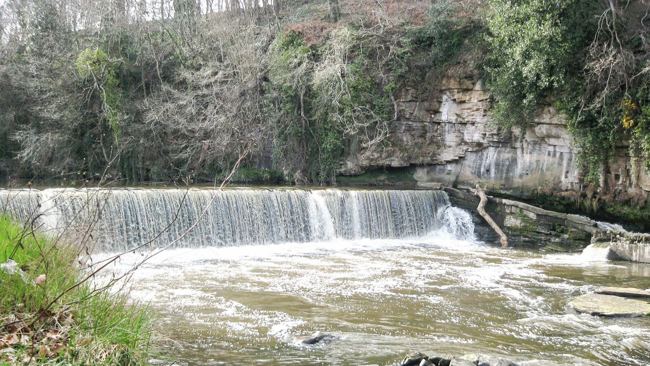 Photo of Others in Cramond