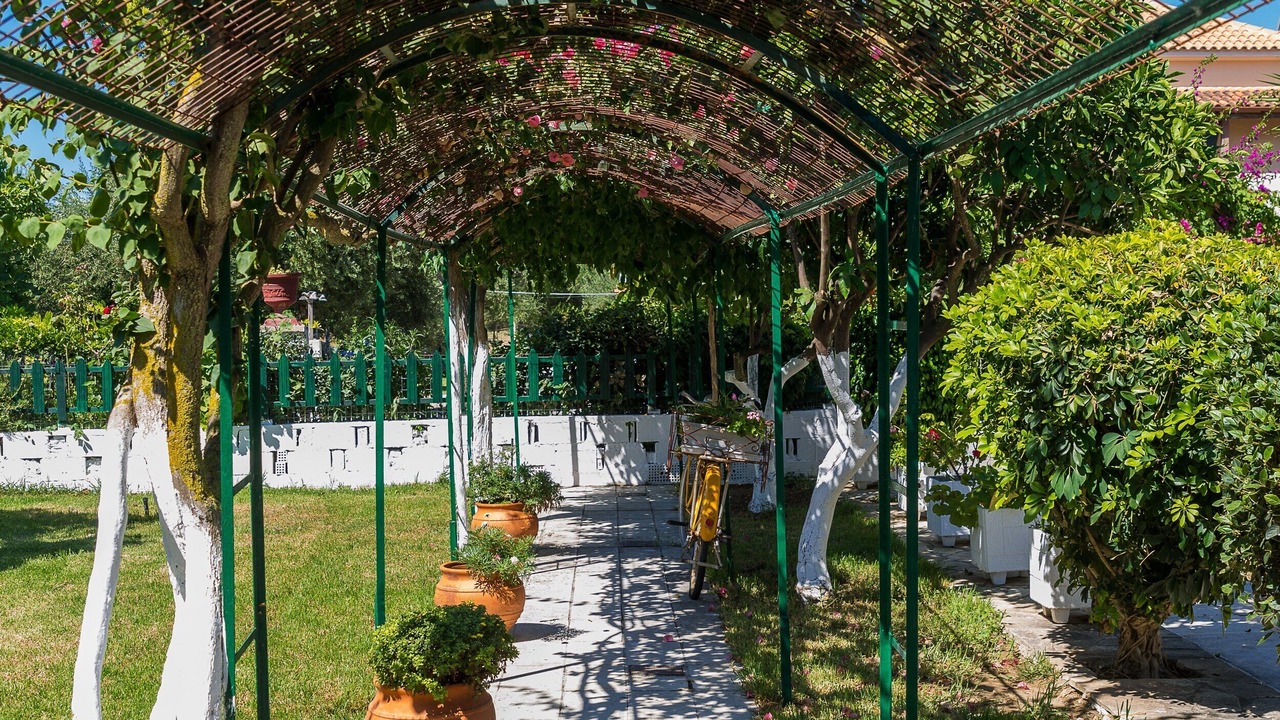 Photo of Outdoor in Ano Vasilikos