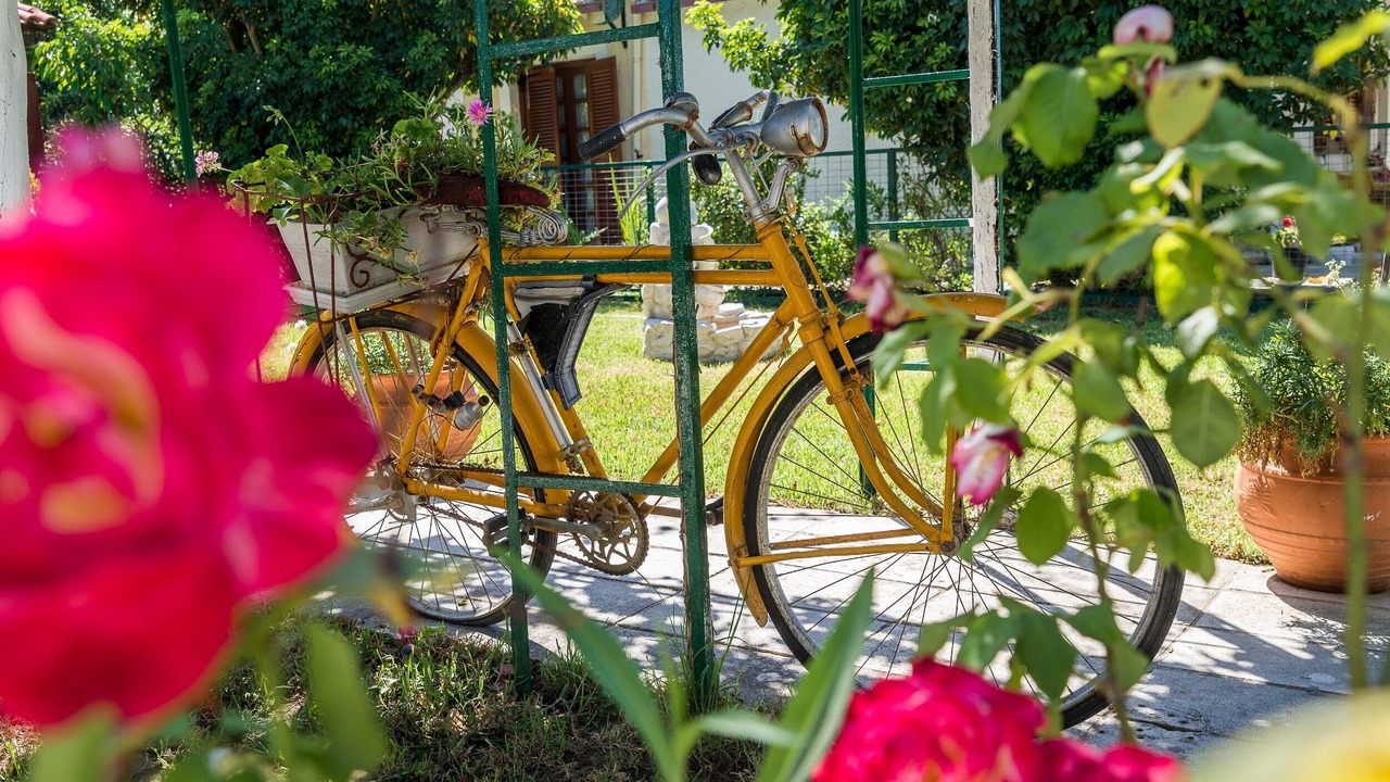 Photo of Outdoor in Ano Vasilikos