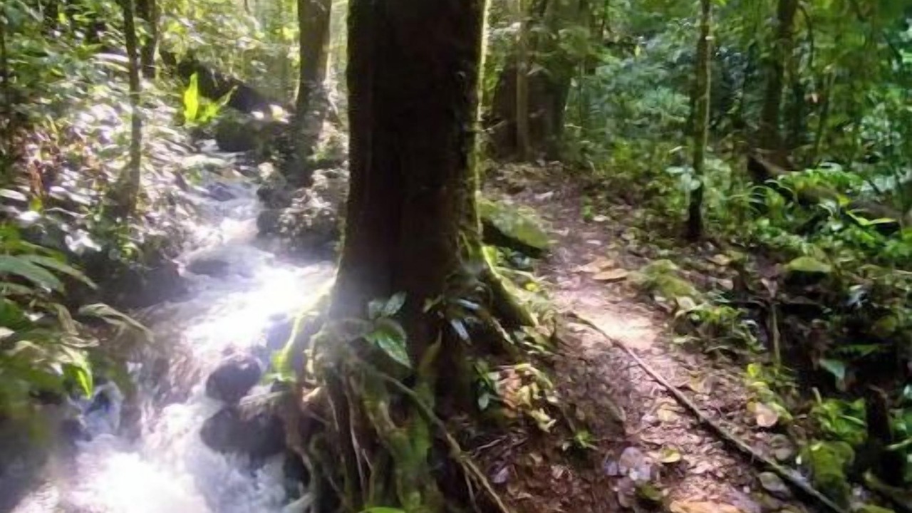 Photo of Outdoor in Quesada