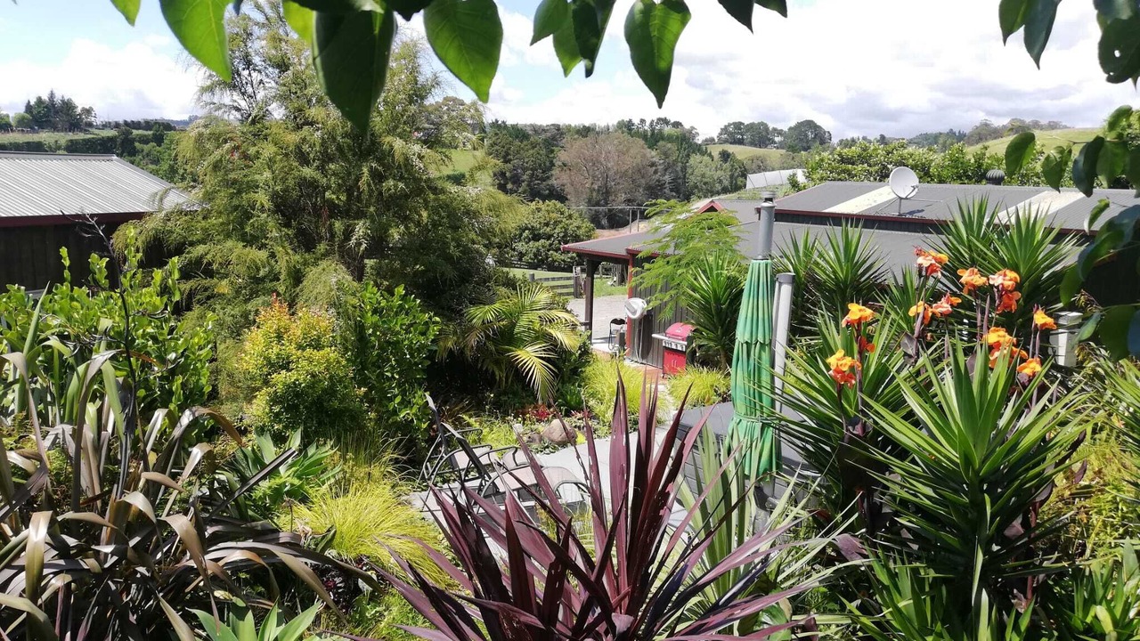 Photo of Outdoor in Whakamarama