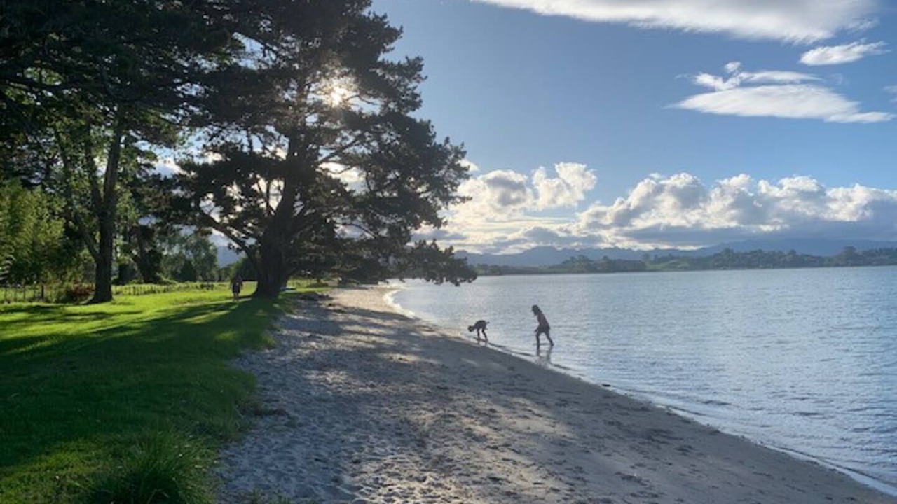 Photo of Others in Omokoroa