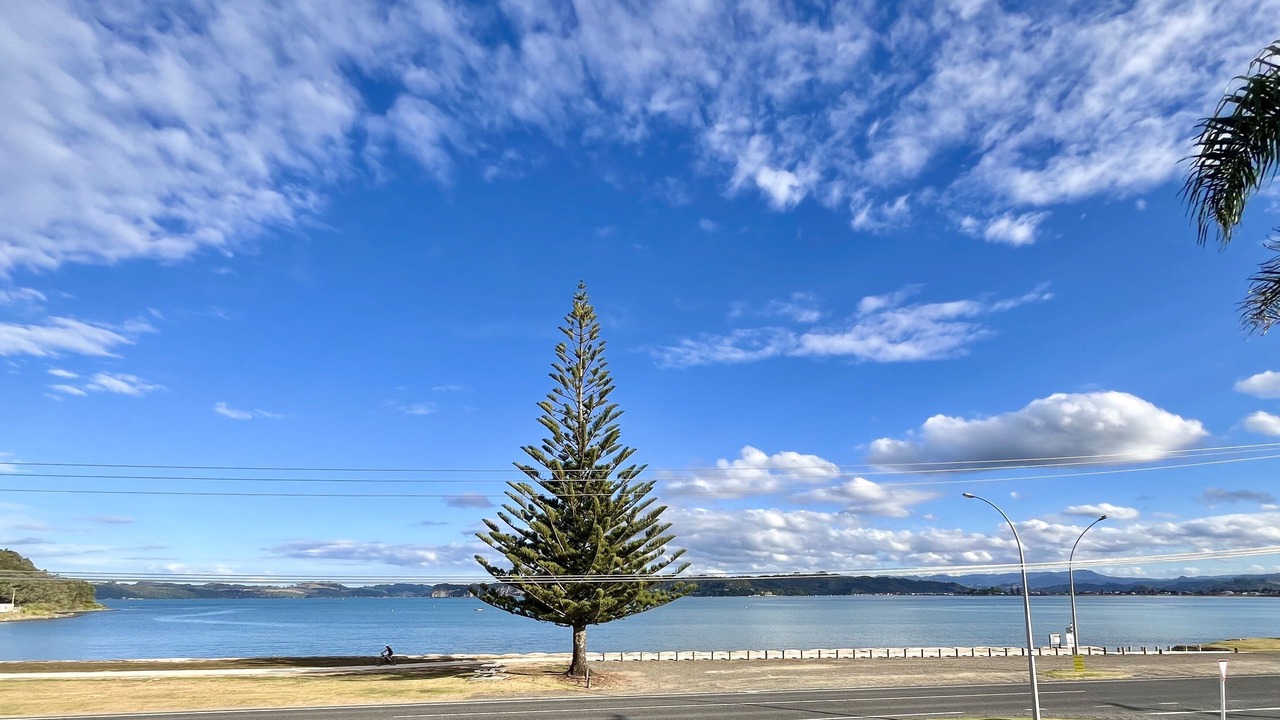 Photo of Others in Whitianga
