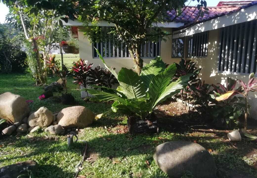 Photo of Outdoor in Guapiles