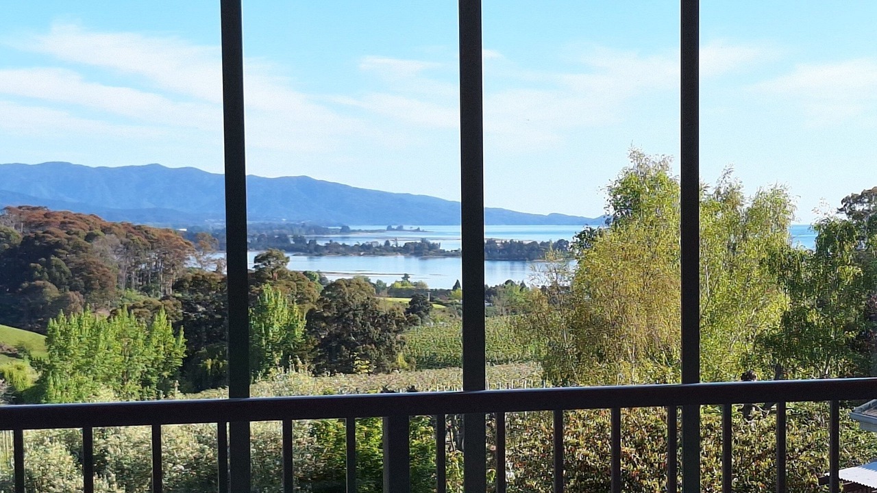 Photo of Patio Balcony in Tasman