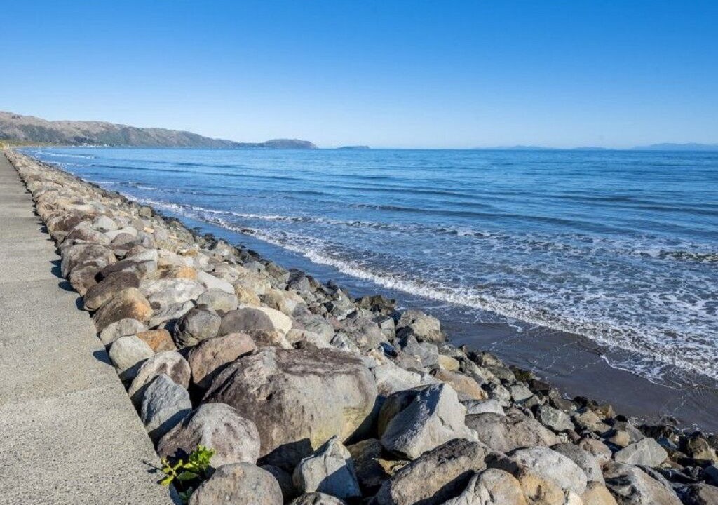 Photo of Others in Raumati South