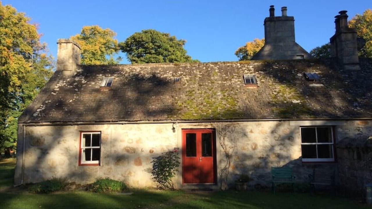 Photo of Outdoor in Nethy Bridge