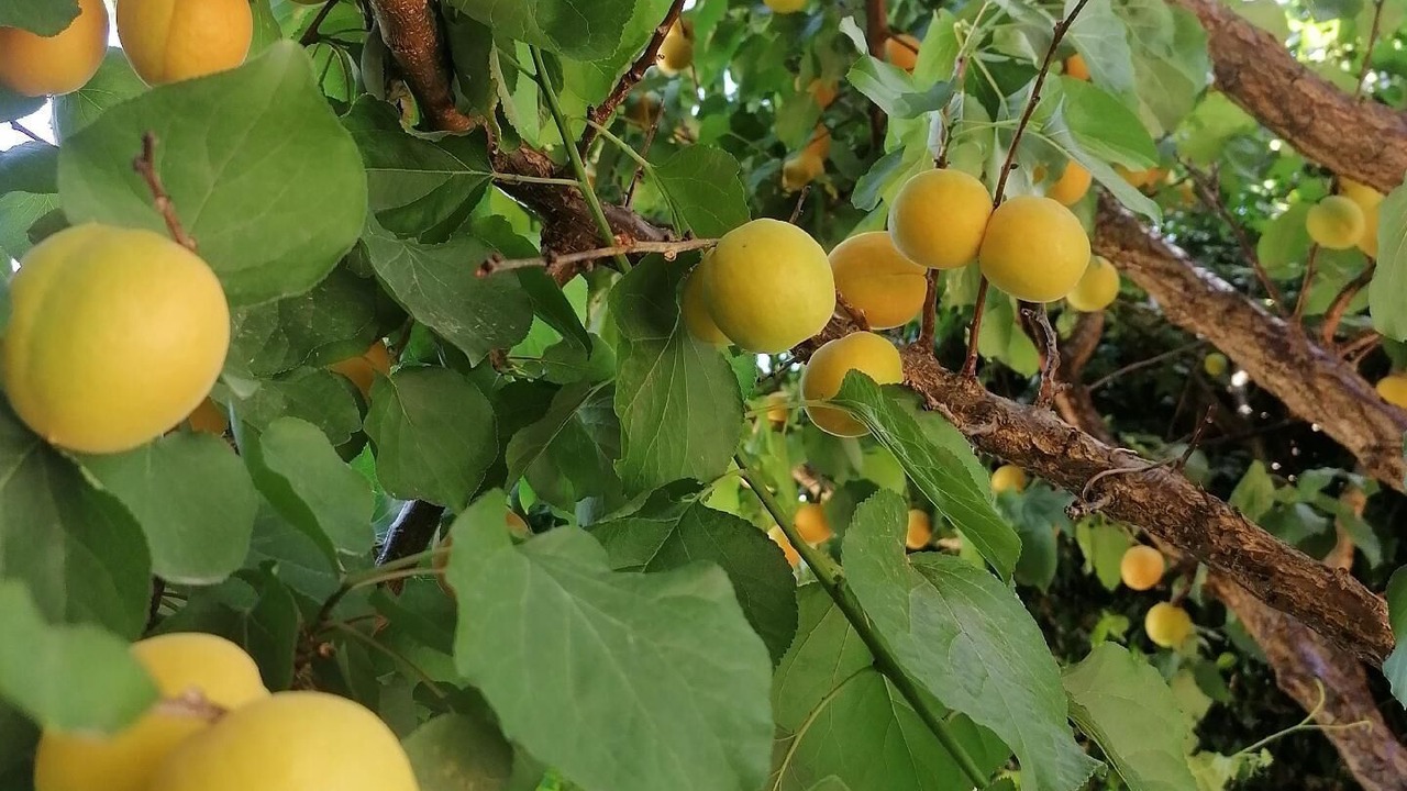 Photo of Outdoor in Stalida