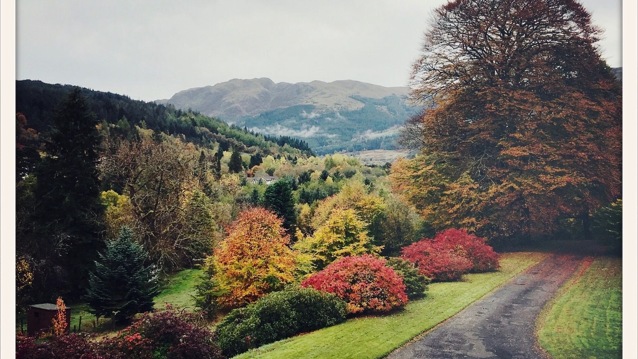 Photo of Others in Strathyre