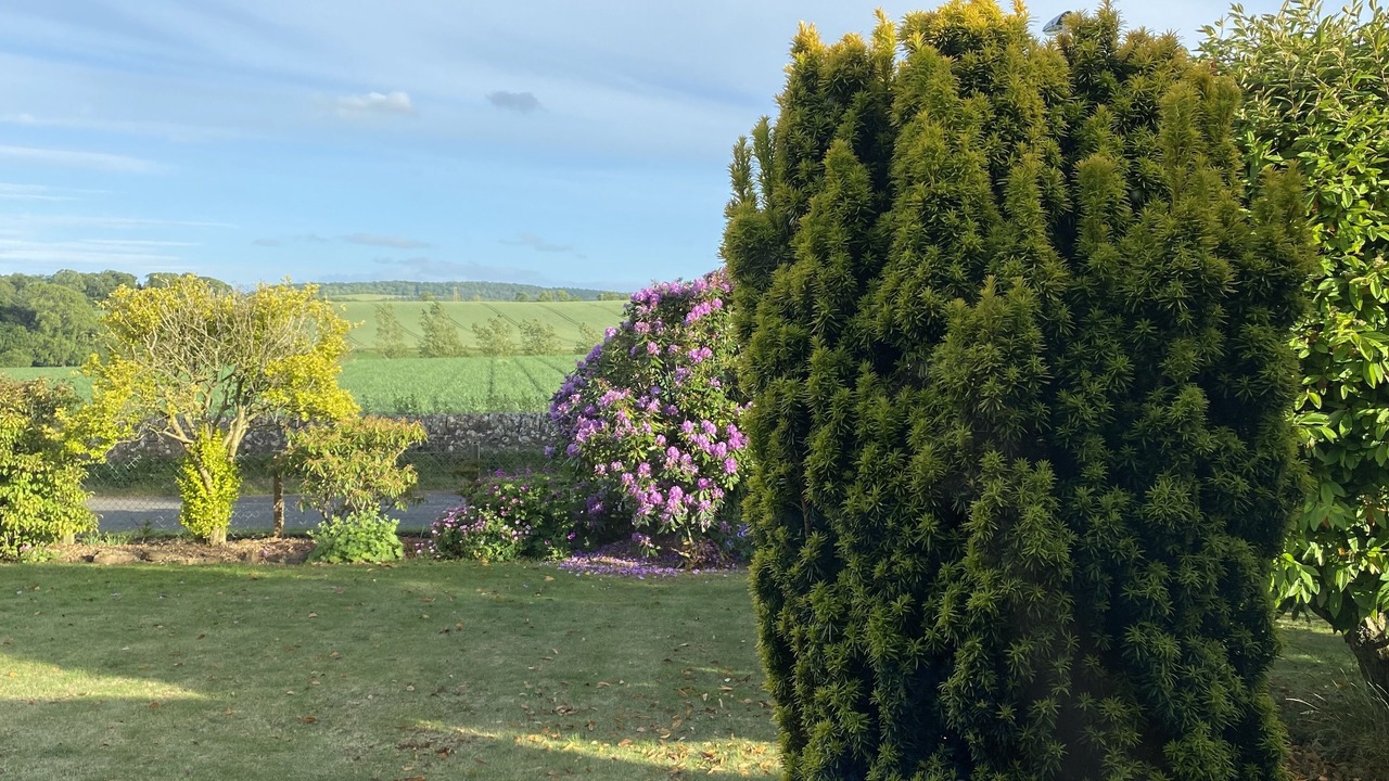 Photo of Outdoor in Cupar