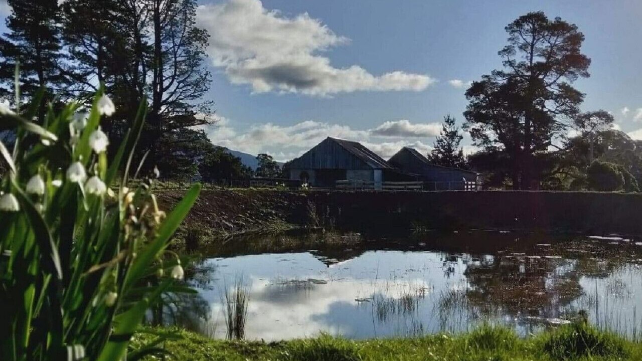 Photo of Others in Mole Creek