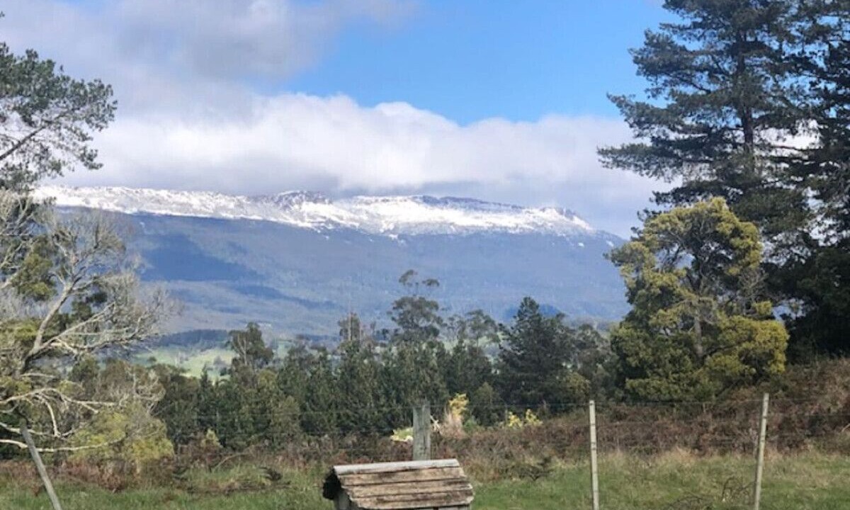 Photo of Others in Mole Creek