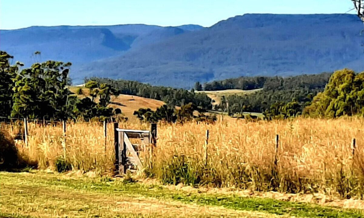 Photo of Others in Mole Creek