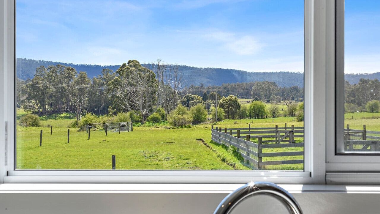 Photo of Others in Mole Creek