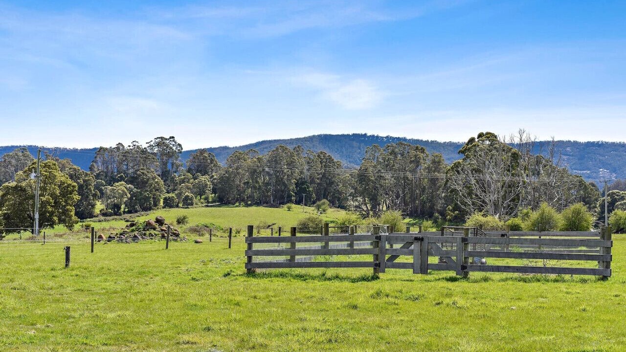 Photo of Others in Mole Creek