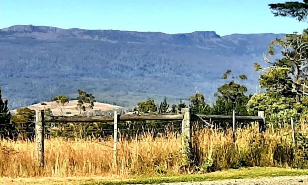 Photo of Others in Mole Creek