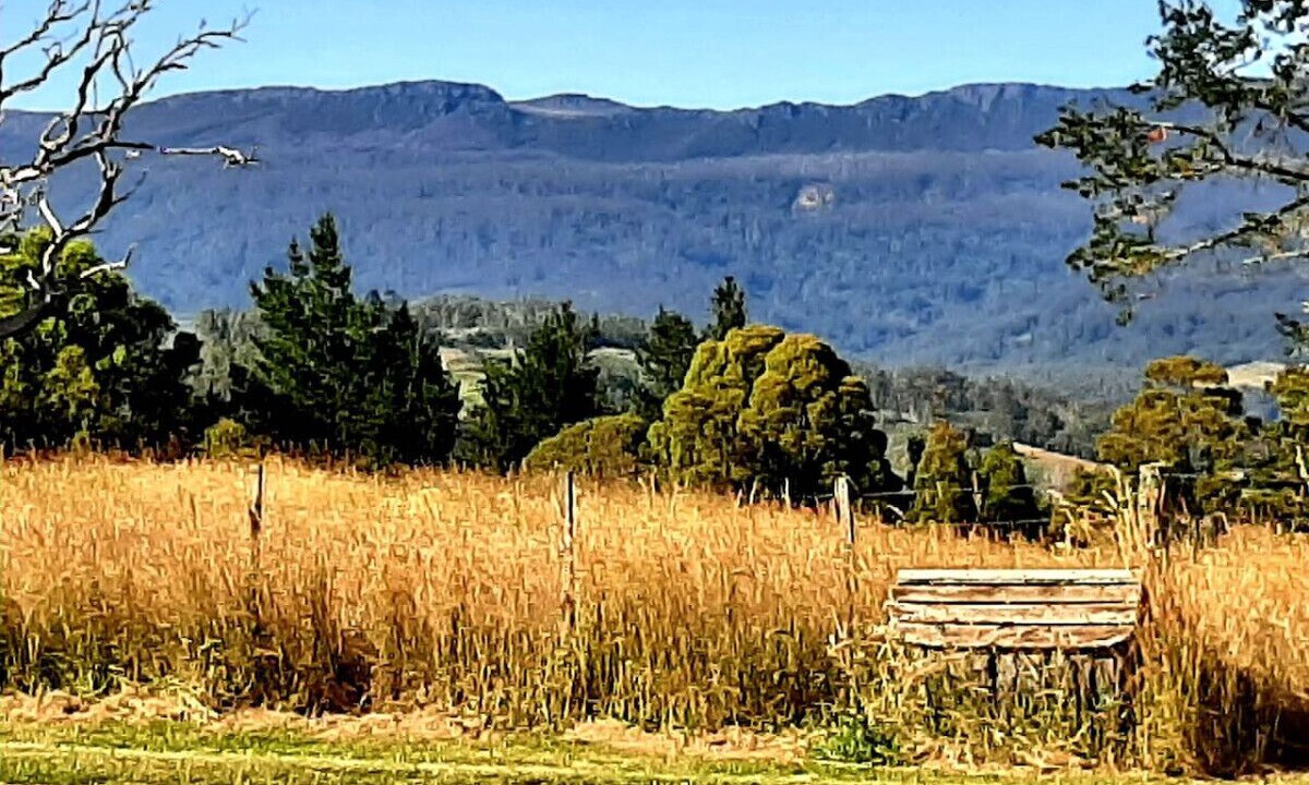 Photo of Others in Mole Creek
