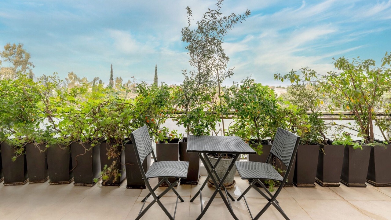 Photo of Outdoor in Mets
