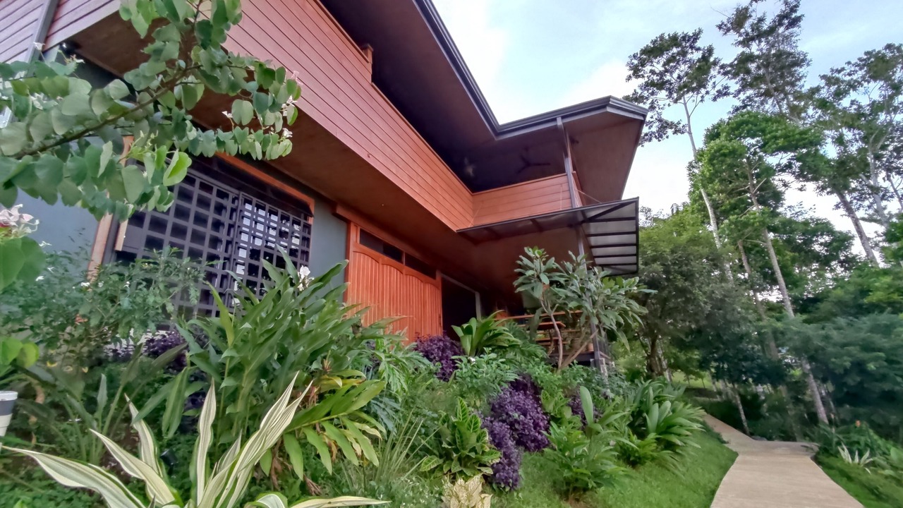 Photo of Outdoor in Venado