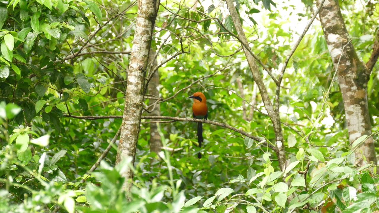 Photo of Others in Venado