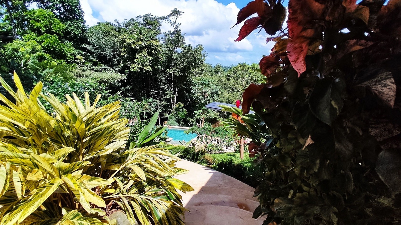 Photo of Outdoor in Venado