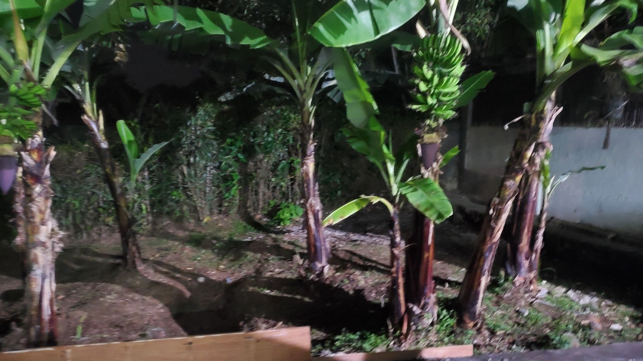 Photo of Outdoor in Roble