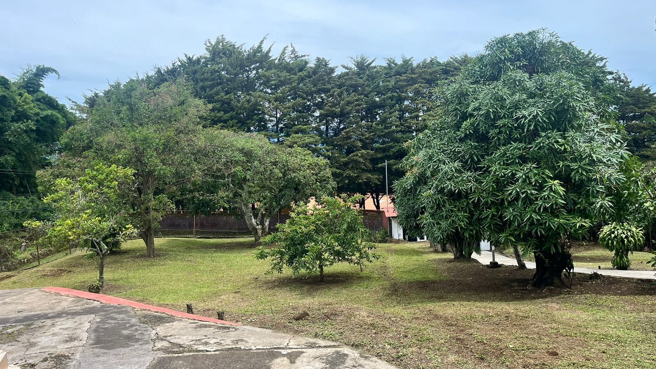 Photo of Outdoor in Roble
