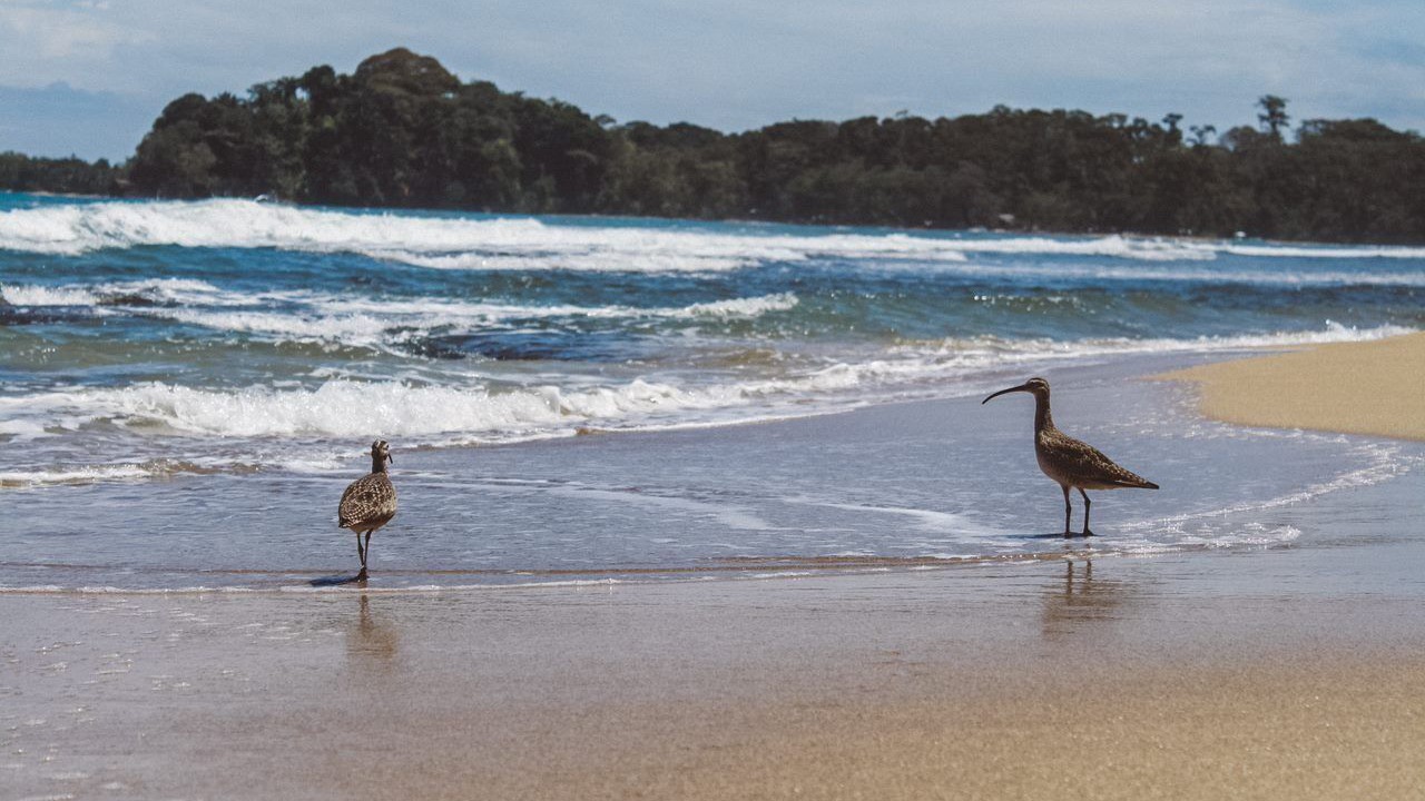 Photo of Others in Chiguata