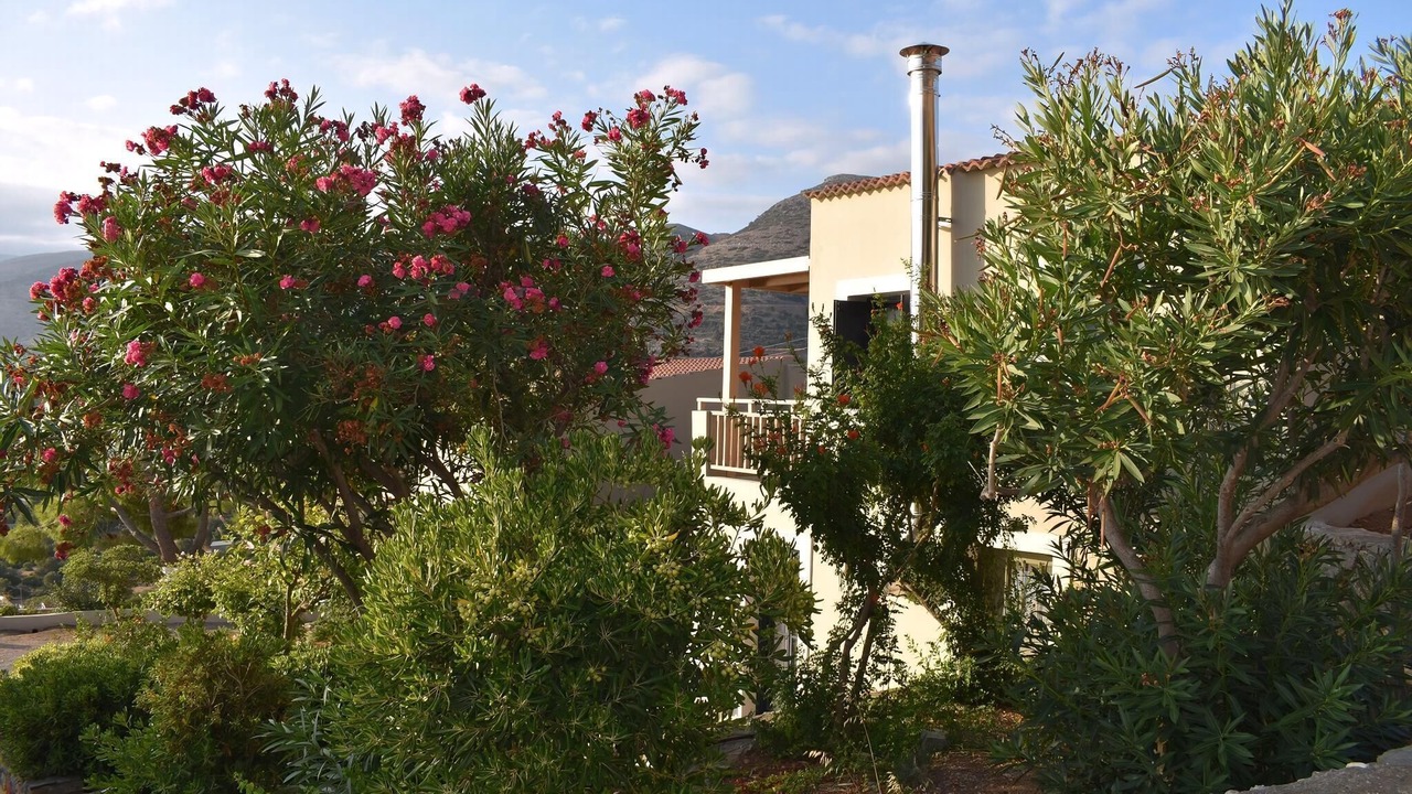Photo of Others in Stalida