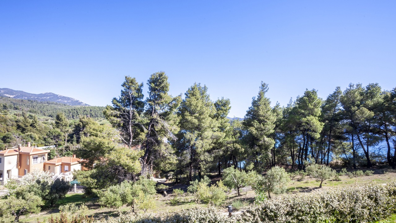 Photo of Outdoor in Sithonia
