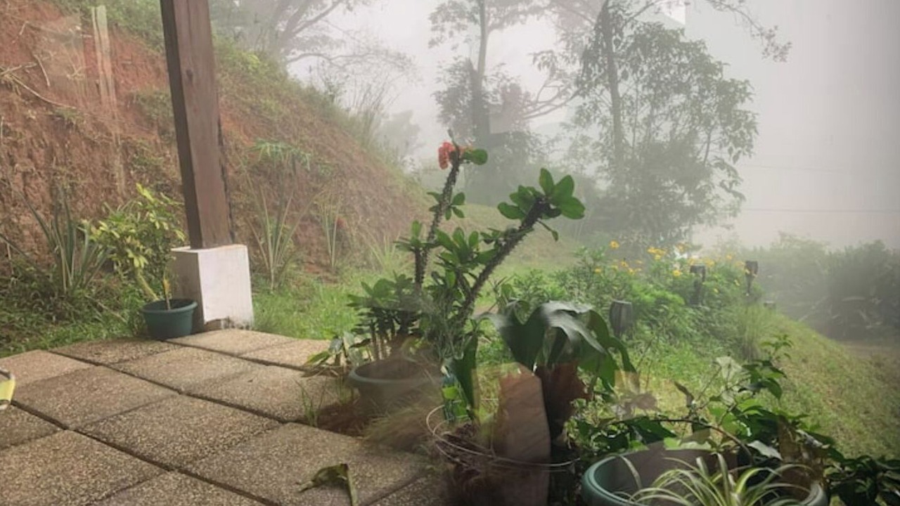 Photo of Outdoor in San Ramon