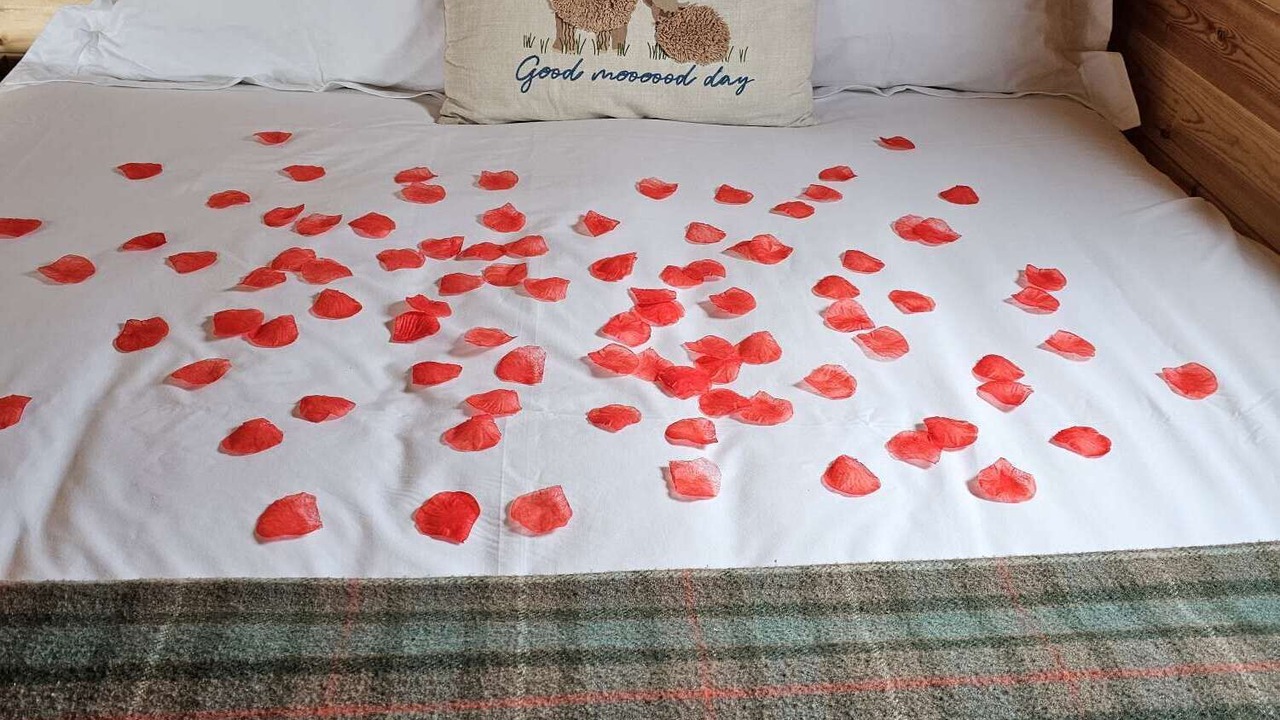 Photo of Bedroom in Dunbeath