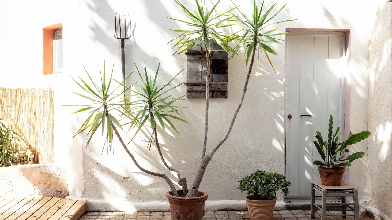 Photo of Outdoor in Parasporos